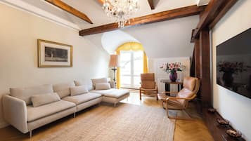 Fernseher, Arbeitsbereiche