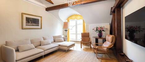 Fernseher, Arbeitsbereiche