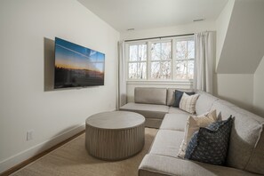 Smart TV, fireplace, books