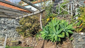 Un jardín con muro de piedra, pérgola de madera y diversas plantas.