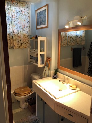 Shower, eco-friendly toiletries, hair dryer, towels