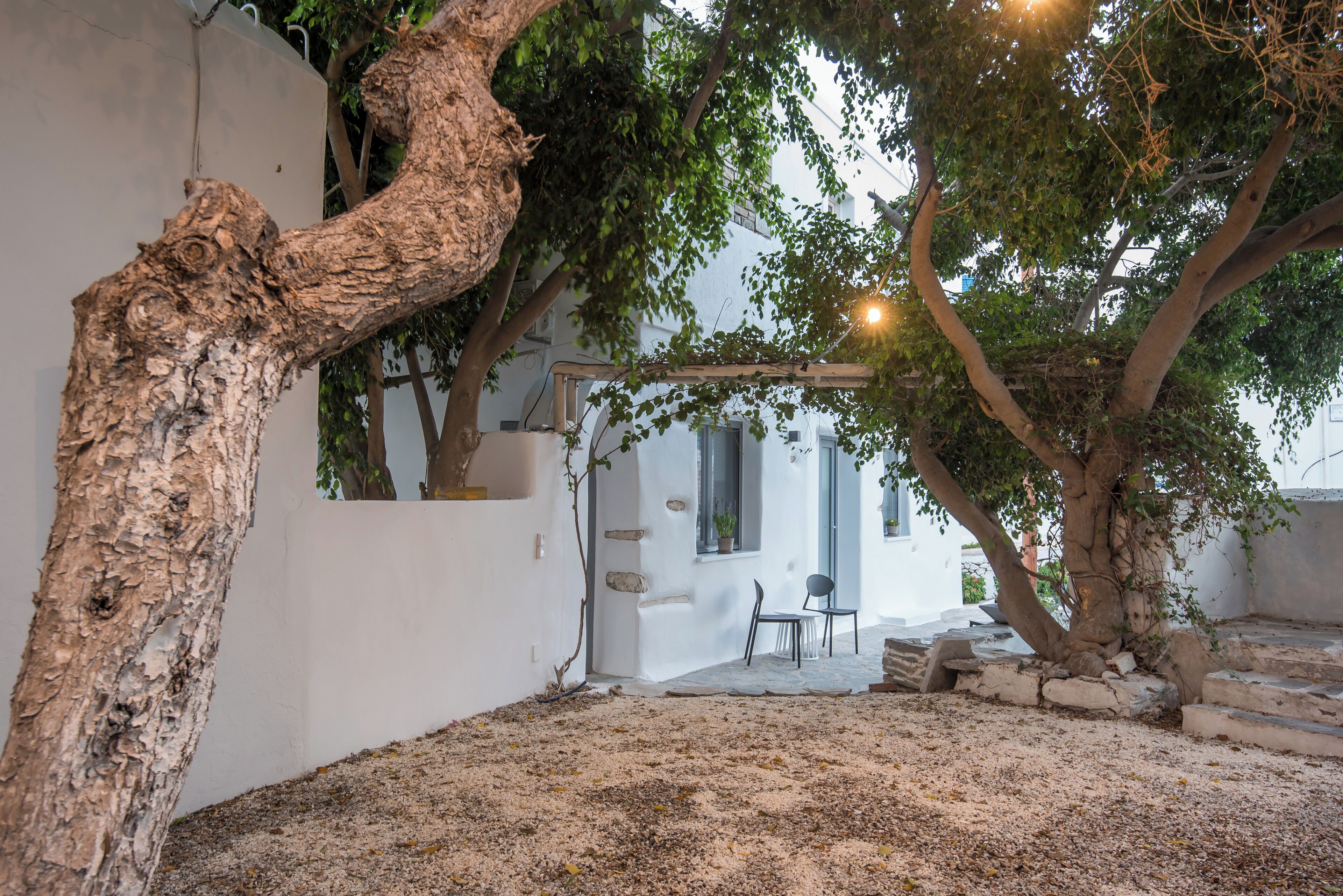 A courtyard with a tree, a white building, and a stone bench.