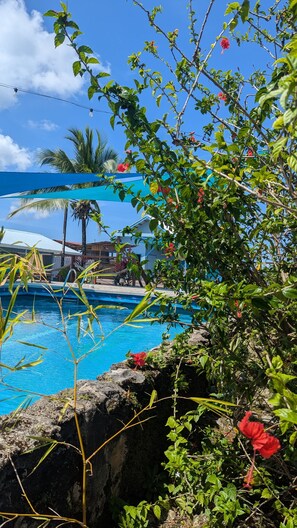 Outdoor pool - Pachamama Bay Club (Bocas del Toro)