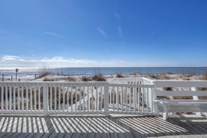 Property grounds - The Mermaid Cottage: Charming, Dog-Friendly and Oceanfront (Oak Island)