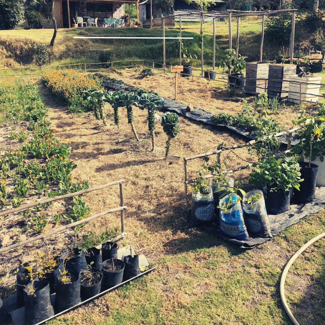 Áreas de la propiedad