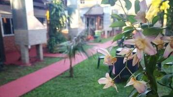 Ăreas de la propiedad