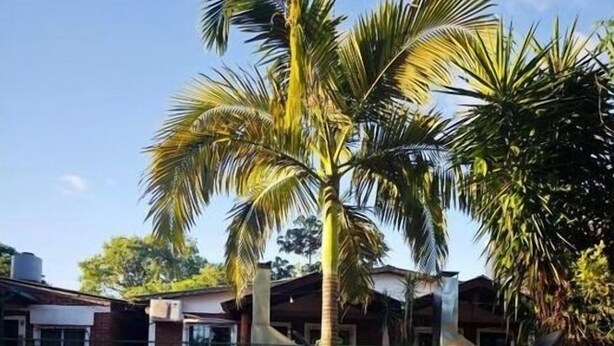 A clear swimming pool with a tiled edge, surrounded by palm trees and a building with a tiled roof. - El Rosedal Cataratas / Apartment - 2 levels (Puerto Iguazú)