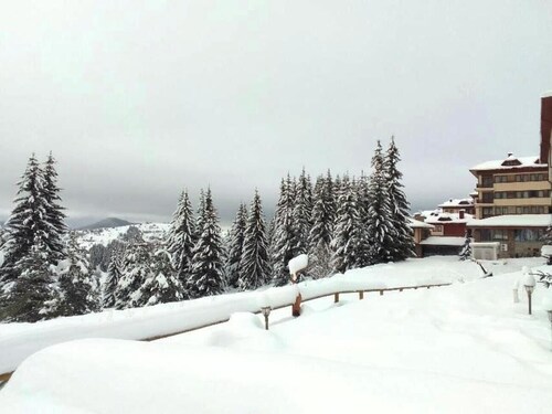 Studio PANORAMA MOUNTAINE, near the ski slope Pamporovo-Stoykite