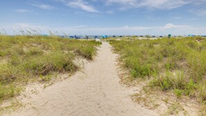 Ein sandiger Pfad führt zu Strandliegen.