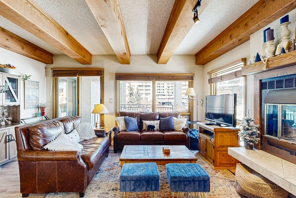 電視、壁爐、DVD 播放機