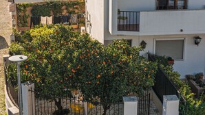 Une maison moderne à deux étages, avec un toit en tuiles, un jardin clos planté d’orangers et un numéro « 7 » bien visible sur le portail.