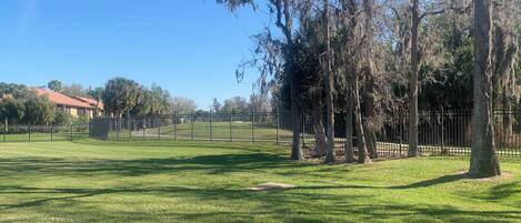Sportplatz