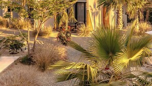 A modern building with a flat roof, surrounded by various types of vegetation including palm trees and shrubs. - Casa Tove, a cosy Bungalow in El Pescadero with wifi, yoga deck and pool. (El Pescadero)