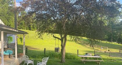 Benji’s getaway minutes from Shenandoah! Pony rides for children