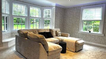 Älytelevisio, videopelejä, kirjoja