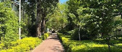 A paved pathway flanked by lush greenery and trees, leading towards a distant structure.