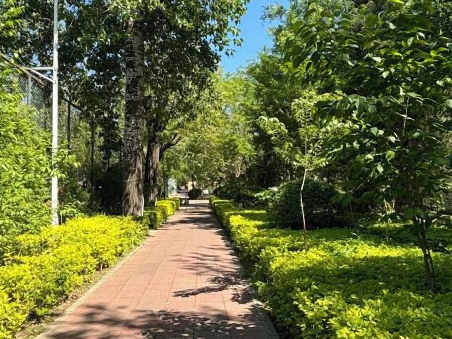 A paved pathway flanked by lush greenery and trees, leading towards a distant structure.