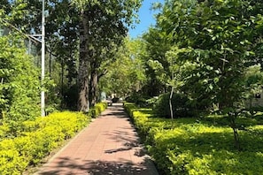 A paved pathway flanked by lush greenery and trees, leading towards a distant structure. - GaoNeng XingYuan Hotel (Beijing)