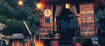 VW Combi in the forest with mountain view