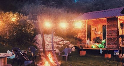 VW Combi in the forest with mountain view