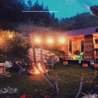 VW Combi in the forest with mountain view