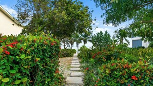 Un chemin de pierres serpente à travers un jardin luxuriant, parsemé de fleurs rouges et de feuillage verdoyant.