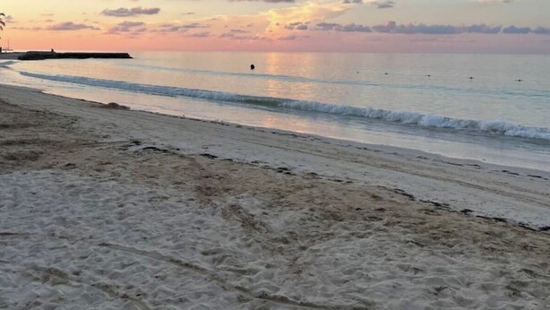 Une plage avec un ciel dégagé et une mer calme.