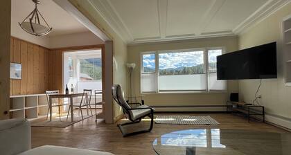 Mountain View - 1 Bedroom, or 2, Lots of Light, Quiet, Walk to Town