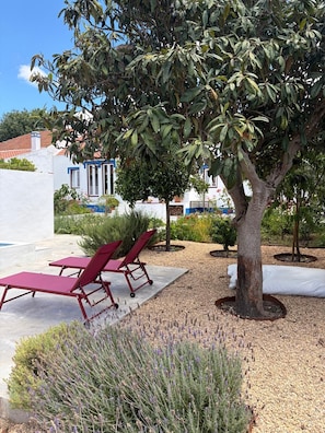 A garden area with two red lounge chairs, a tree, and a white building with blue trim in the background.