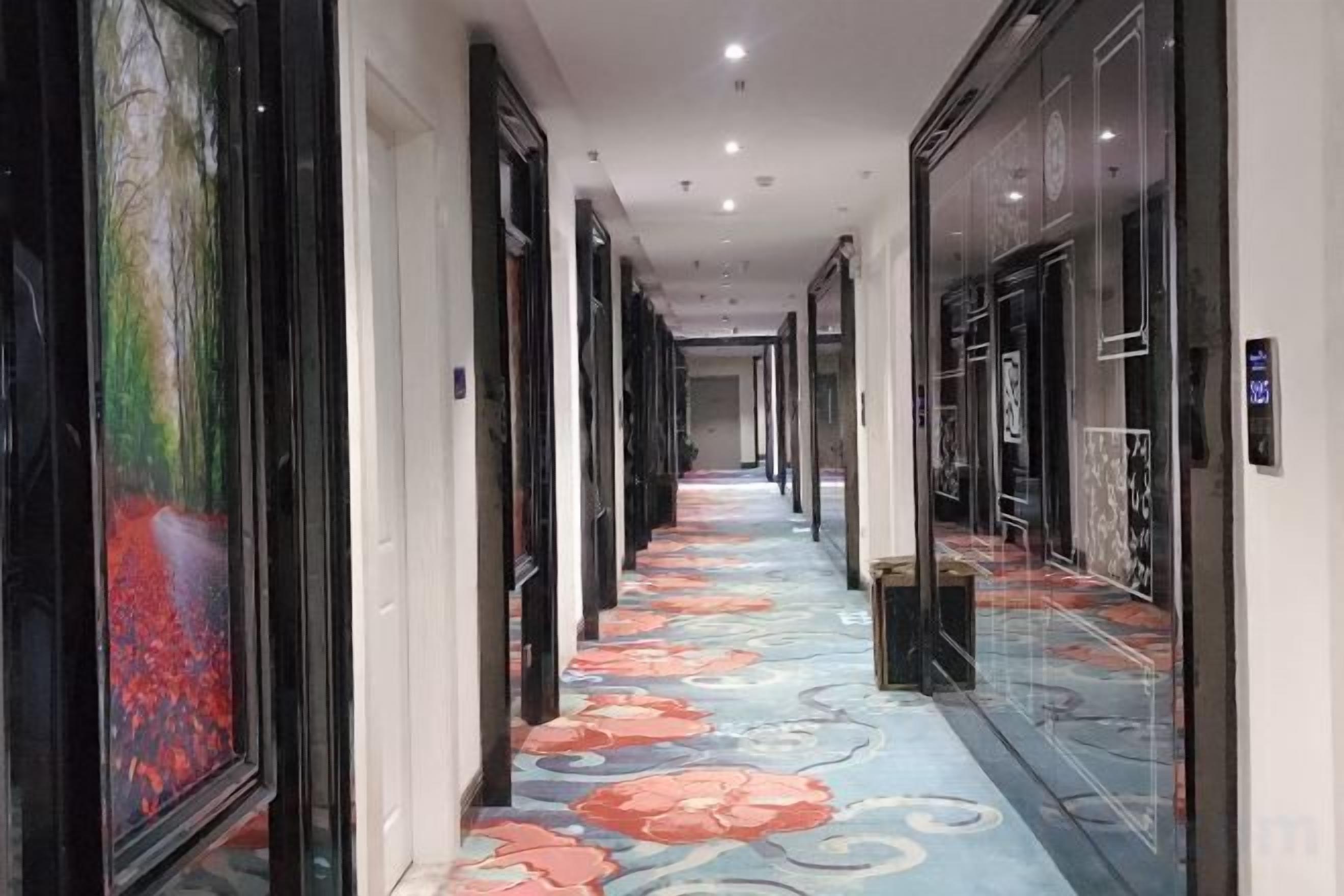 Un pasillo con obras enmarcadas en las paredes, una alfombra estampada y un ascensor moderno.