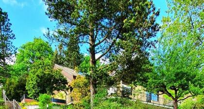 Studiowohnung "SchwabenALB" mit Panoramablick