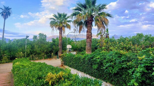 A pathway surrounded by lush greenery and palm trees, leading to a building with a visible entrance. - Relaxation, sea, nature, culture! (Sicilia)