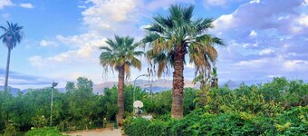 Relaxation, sea, nature, culture!