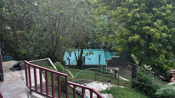 Una escalera con barandillas rojas que lleva a un edificio con techo verde, rodeado de abundante vegetación.