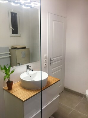 Secador de cabelo, toalhas de banho, papel higiênico 