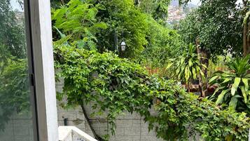 Vista desde un balcón con barandilla blanca, pared de azulejos y abundante vegetación.