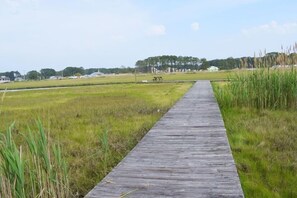 A wooden boardwalk through a grassy field with a distant view of trees and buildings.