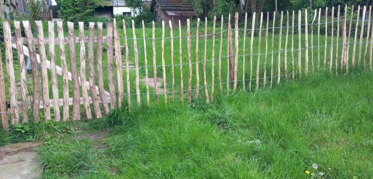 A wooden fence with a wire mesh, surrounded by green grass and a concrete path.