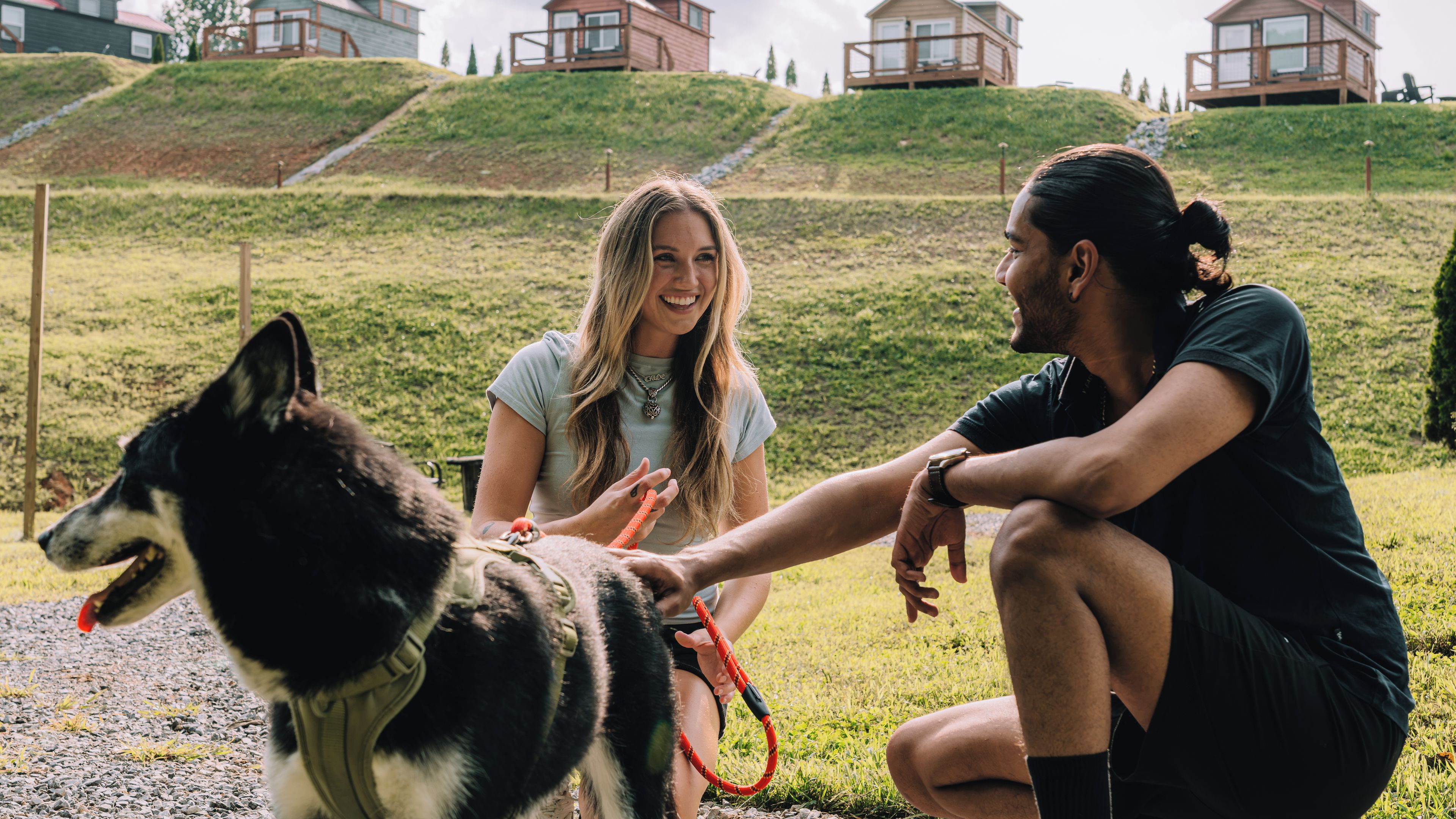 Two people interacting with a large dog on a grassy area with a hilly background.