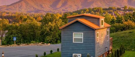 Family Cabin, Mountain View | Terrace/patio