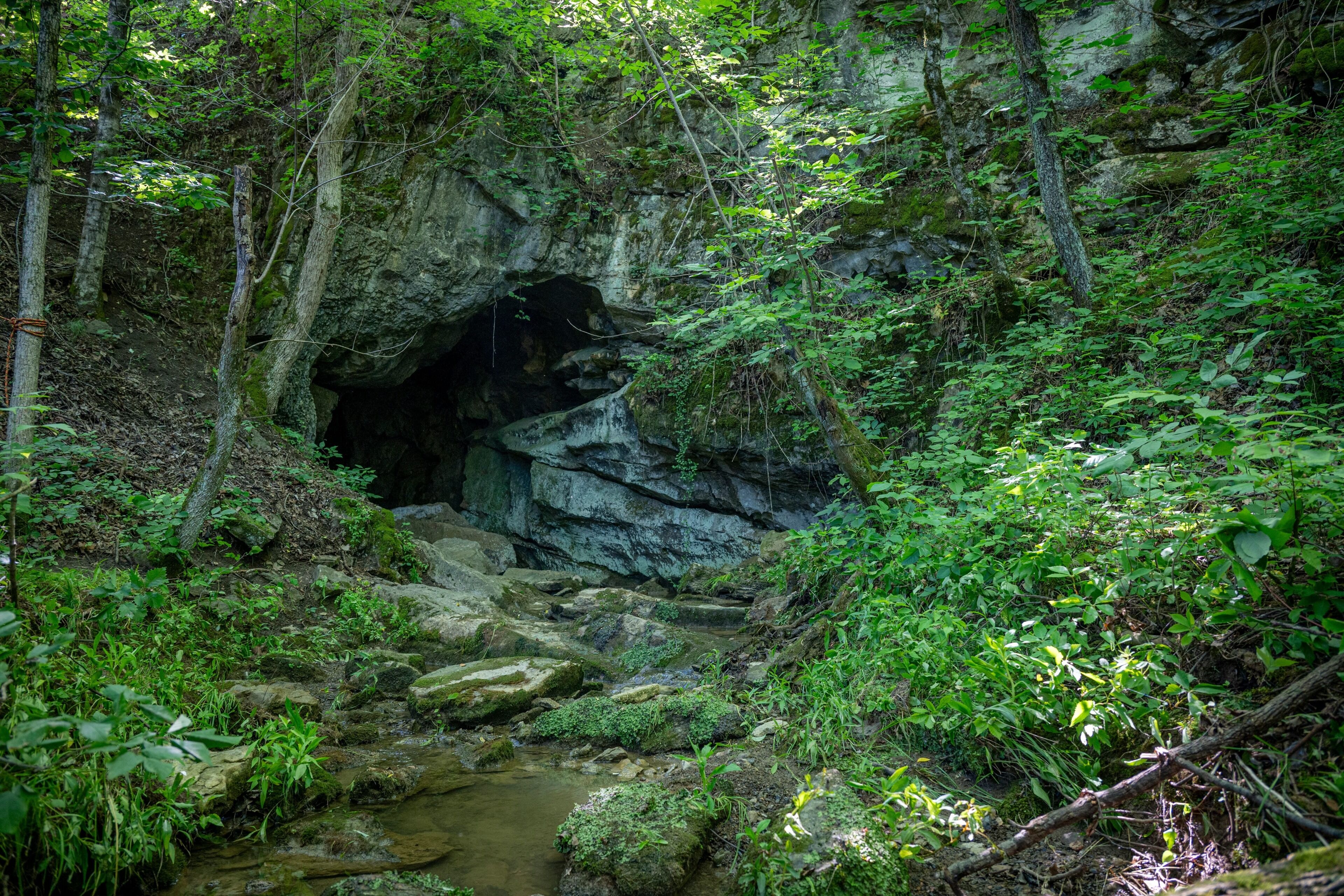 Ein natürlicher Höhleneingang, umgeben von dichtem Wald und einem kleinen Bach.