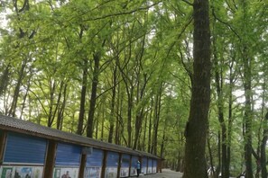 A row of blue buildings with a covered walkway, surrounded by tall trees. - Longhushan Laiping Hostel (Guixi)