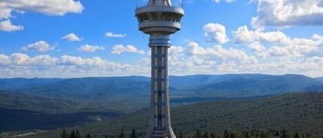 A tower with a spherical top, surrounded by forest and mountains.
