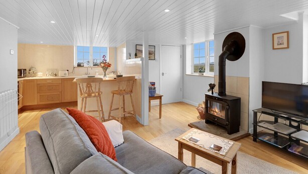 Una sala de estar moderna con un sofá, un televisor, una chimenea y una cocina al fondo.