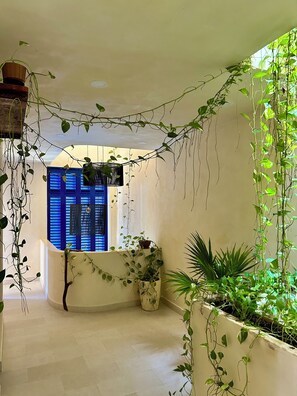 Exterior - sunsteps casa holbox  (Isla Holbox)