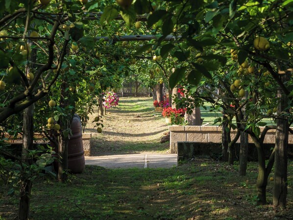 Jardin
