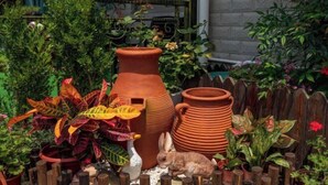 Un jardín con macetas de terracota, una valla de madera y diversas plantas.