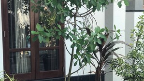 A potted plant in front of a building with a glass door and a stone pathway.