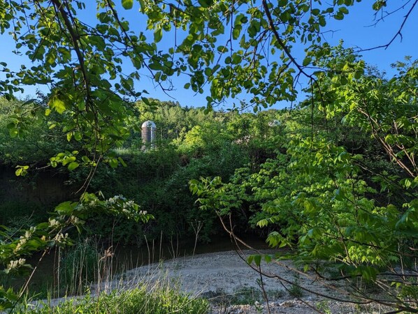 Property grounds - 4 Affordable Rooms: Shared Kitchenette, Restroom (Tiskilwa)