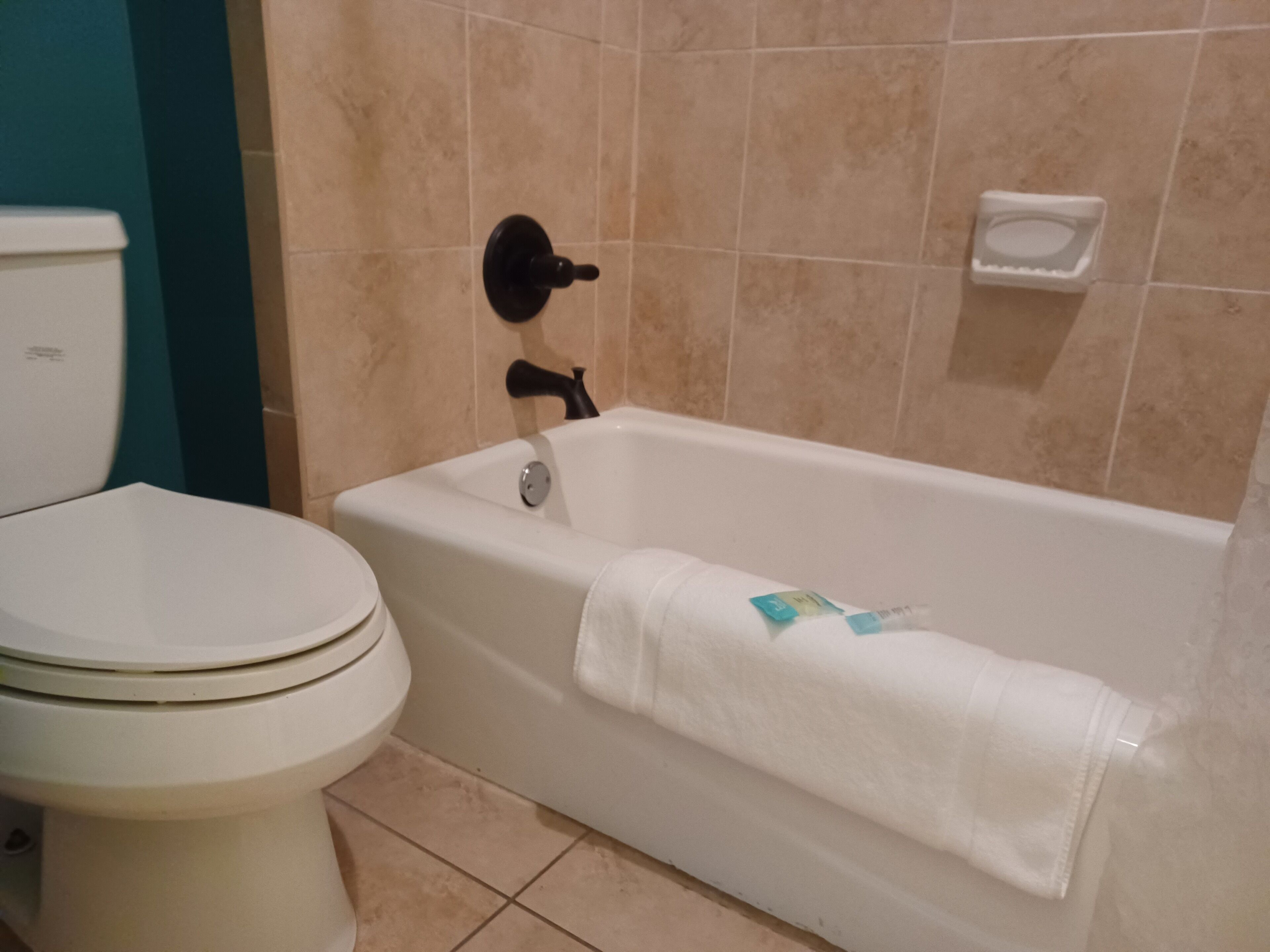 A bathroom with a toilet, a bathtub, and a shower area.